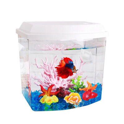 Gorgeous natural bowed fish tank ecological fish tank goldfish tank small fish tank fish tank aquarium desktop fish tank LC10W white 9.5L
Gorgeous natural bowed fish tank ecological fish tank goldfish tank small fish tank fish tank aquarium desktop fish tank LC10W white 9.5L