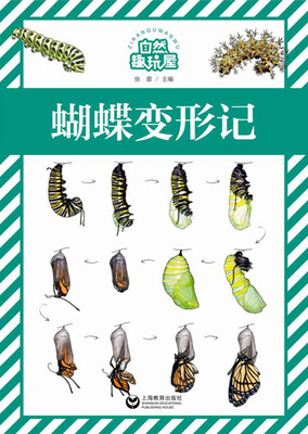 蝴蝶变形记 
蝴蝶变形记