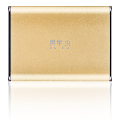 (Черный жук ) ультра-тонкий металлический портативный жесткий диск
(Черный жук ) ультра-тонкий металлический портативный жесткий диск