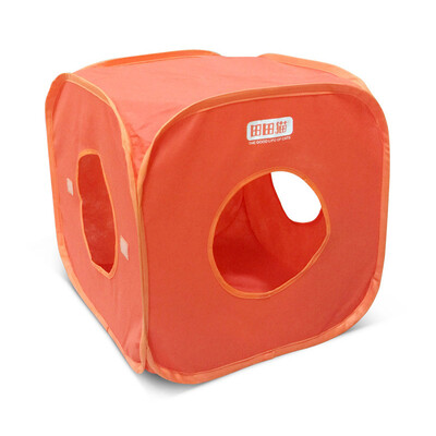 Tiantian cat orange spring&summer non-woven foldable cat tent cat litter can pick up dragon plus Philippine doll blue cat kitten cat toy cat supplies
Tiantian cat orange spring&summer non-woven foldable cat tent cat litter can pick up dragon plus Philippine doll blue cat kitten cat toy cat supplies
