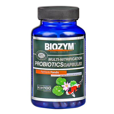 BIOZYM Bainan Nitrification Bacteria Concentrated Nitrifying Bacteria Dirty Water Common Nitrifying Bacteria Liquid 350ml
BIOZYM Bainan Nitrification Bacteria Concentrated Nitrifying Bacteria Dirty Water Common Nitrifying Bacteria Liquid 350ml
