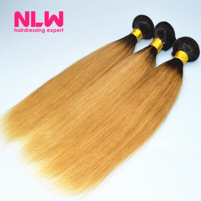 N..W. 10A Brazilian virgin human hair 3 bundles Silk straight hair extensions Ombre T1B/27 Hair color
N..W. 10A Brazilian virgin human hair 3 bundles Silk straight hair extensions Ombre T1B/27 Hair color
