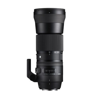 Sigma (SIGMA) 150-600mm F5-6.3 DG OS HSM | Contemporary с 1,4 раза телеконвертор TC-1401 (Canon Монтажный набор)
Sigma (SIGMA) 150-600mm F5-6.3 DG OS HSM | Contemporary с 1,4 раза телеконвертор TC-1401 (Canon Монтажный набор)
