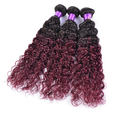 Sexy Lady Kinky Curly Peruvian Hair 1B Burgundy Ombre Two Tone Human Hair Weave Non-Remy Red Hair Extensions 10-26inch
Sexy Lady Kinky Curly Peruvian Hair 1B Burgundy Ombre Two Tone Human Hair Weave Non-Remy Red Hair Extensions 10-26inch