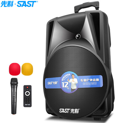 Yushchenko SAST D12A 12 inch field dance rod sound outdoor portable mobile audio high power loudspeaker lithium battery black
Yushchenko SAST D12A 12 inch field dance rod sound outdoor portable mobile audio high power loudspeaker lithium battery black
