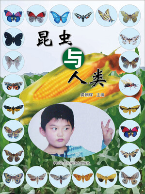 昆虫与人类 
昆虫与人类