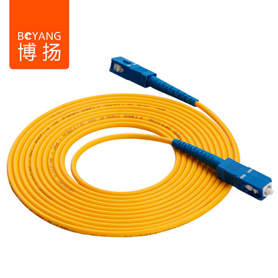 Боян (Boyang) BY-3211SM операторского класса волокна перемычки 3 м ST-SC (одномодовые одноядерный)
Боян (Boyang) BY-3211SM операторского класса волокна перемычки 3 м ST-SC (одномодовые одноядерный)