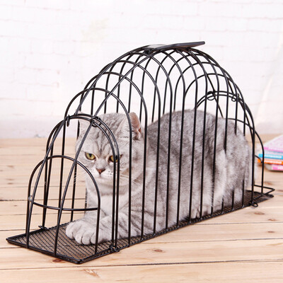 Foolhammer Paradise Large Cat Washing Cocktail Pet Cats Cats Cats Hair Cloak Scissors Nail Pins Breeding Bite Bitter Chilling
Foolhammer Paradise Large Cat Washing Cocktail Pet Cats Cats Cats Hair Cloak Scissors Nail Pins Breeding Bite Bitter Chilling