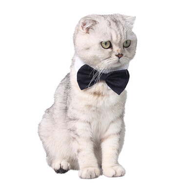 Giza Aberdeen pet bow tie gentleman bowed dog dog cat handsome holiday bow black and white
Giza Aberdeen pet bow tie gentleman bowed dog dog cat handsome holiday bow black and white