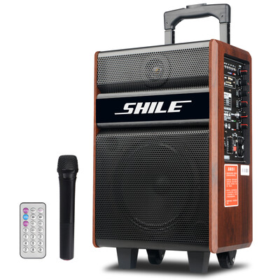 Lion Dance SHILE crown 8 inch square dance audio with Bluetooth card USB broadcast send wireless microphone portable wooden rod speaker
Lion Dance SHILE crown 8 inch square dance audio with Bluetooth card USB broadcast send wireless microphone portable wooden rod speaker