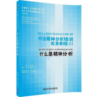 中法精神分析培训实务教程III:什么是精神分析