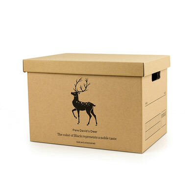 FOOJO file storage box file box kraft paper color carton storage box office toy storage box thickened with cover 392827cm
FOOJO file storage box file box kraft paper color carton storage box office toy storage box thickened with cover 392827cm