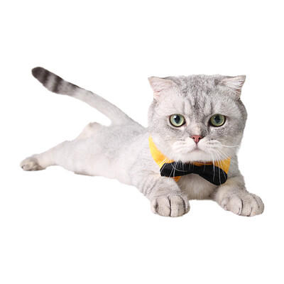 Giza Aberdeen pet bow tie gentleman bowed dog dog cat handsome holiday bow black and white
Giza Aberdeen pet bow tie gentleman bowed dog dog cat handsome holiday bow black and white