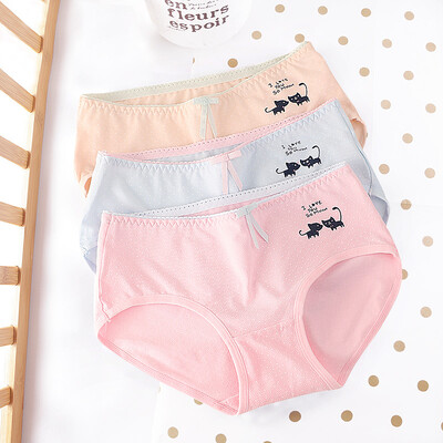 Red bean hongdou lady cotton ammonia kitten printed sexy girl underwear 3 gift box 17595
Red bean hongdou lady cotton ammonia kitten printed sexy girl underwear 3 gift box 17595