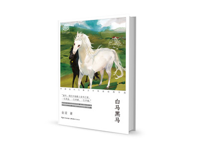 心阅读文丛·中国当代儿童文学名家经典作品白马黑马