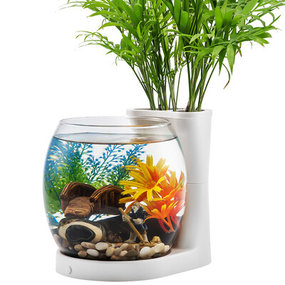 Ogata Natural Fish Tank Fish Fish Tank Small Tank Mini Tank Small Aquarium Glass Aquarium Desktop Aquarium Aquarium BG75 Single Cylinder White
Ogata Natural Fish Tank Fish Fish Tank Small Tank Mini Tank Small Aquarium Glass Aquarium Desktop Aquarium Aquarium BG75 Single Cylinder White