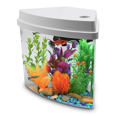 Gorgeous natural bowed fish tank ecological fish tank goldfish tank small fish tank fish tank aquarium desktop fish tank LC10W white 9.5L
Gorgeous natural bowed fish tank ecological fish tank goldfish tank small fish tank fish tank aquarium desktop fish tank LC10W white 9.5L