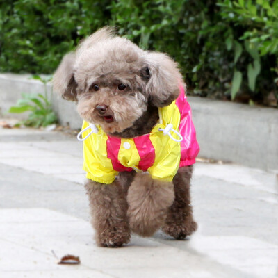 Petty Bear Trousers Teddy Bears Puppies Dog Dresses Teddy Clothes Pet Dresses Magenta 5
Petty Bear Trousers Teddy Bears Puppies Dog Dresses Teddy Clothes Pet Dresses Magenta 5