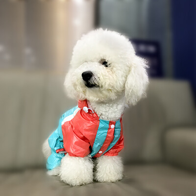 Petty Bear Trousers Teddy Bears Puppies Dog Dress Teddy Clothes Pet Clothes Light Blue 4
Petty Bear Trousers Teddy Bears Puppies Dog Dress Teddy Clothes Pet Clothes Light Blue 4