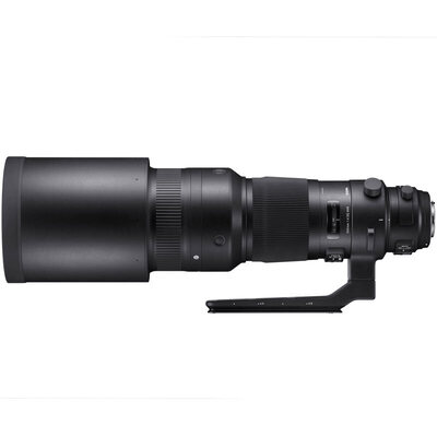 SIGMA 500mm F4 DG OS HSMSports Full Frame Super-telephoto Prime Lens Shooting Birds&39 Lotus Canon SLR Mount
SIGMA 500mm F4 DG OS HSMSports Full Frame Super-telephoto Prime Lens Shooting Birds&39 Lotus Canon SLR Mount