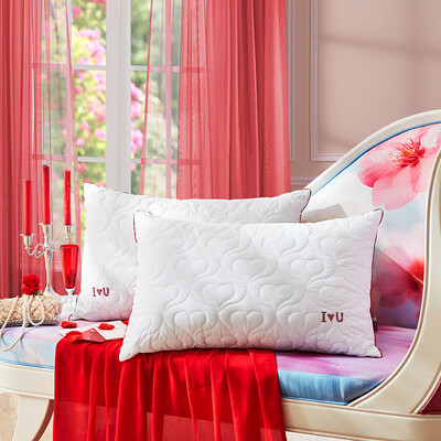 LOVO жизнь производства Каролина Подушка постельные принадлежности подушки спать хлопка стеганые подушки ласку для подушек 47 * 73см
LOVO жизнь производства Каролина Подушка постельные принадлежности подушки спать хлопка стеганые подушки ласку для подушек 47 * 73см