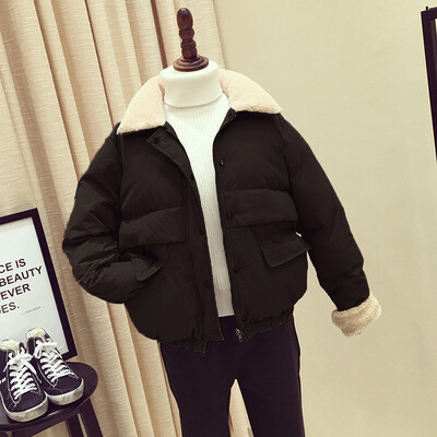 2017 winter lambs woolen coat is thin fashion lambs collar short section of casual cotton bread
2017 winter lambs woolen coat is thin fashion lambs collar short section of casual cotton bread