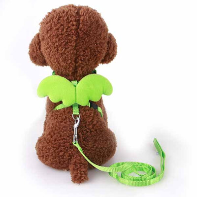 Cute Angel Pet Dog Leashes and Collars Set Puppy Leads for Small Dogs Cats Designer Wing Adjustable Dog Harness Pet Accessories
Cute Angel Pet Dog Leashes and Collars Set Puppy Leads for Small Dogs Cats Designer Wing Adjustable Dog Harness Pet Accessories