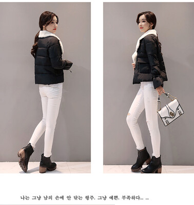 2017 new cotton short slim lady down loose imitation lamb wool winter coat thick fur collar
2017 new cotton short slim lady down loose imitation lamb wool winter coat thick fur collar