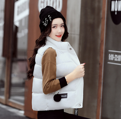 2017 autumn and winter new Korean version of the collar fashion casual warm horse clamp down cotton vest female vest
2017 autumn and winter new Korean version of the collar fashion casual warm horse clamp down cotton vest female vest