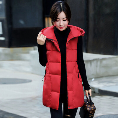 Autumn and winter cotton vest female jacket Korean version of the Slim in the long section of thick feather cotton waistcoat hoode
Autumn and winter cotton vest female jacket Korean version of the Slim in the long section of thick feather cotton waistcoat hoode
