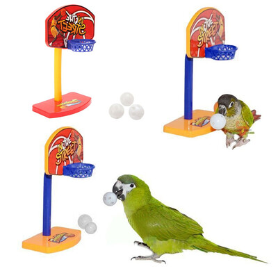 Cntomlv New 3pcs Balls Pet Birds Chew Toy Parakeet Bell Balls Parrot Toys Birdie Basketball Hoop Props Pet Parrot Pet Products
Cntomlv New 3pcs Balls Pet Birds Chew Toy Parakeet Bell Balls Parrot Toys Birdie Basketball Hoop Props Pet Parrot Pet Products