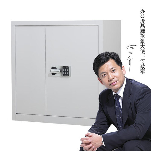 办公虎办公柜文件柜铁皮保密柜电子锁资料柜档案柜财务凭证柜电子密码柜 灰白矮柜（国宝锁）