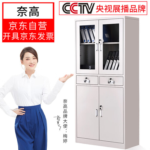 奈高文件柜办公柜钢制铁皮柜资料柜档案柜储物柜中二斗文件柜