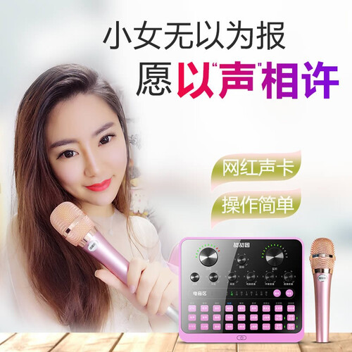 TTQ 甜甜圈TS-3外置声卡套装电脑手机直播设备全套快手抖音全民K歌唱歌主播电音喊麦电容麦克风话筒 电音声卡粉色+粉色手持麦【送支架+监听耳机】