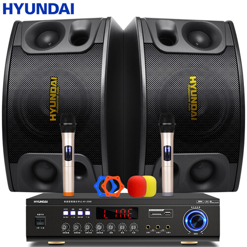 现代（HYUNDAI）10S ktv音响套装 家庭影院音响组合 家用蓝牙功放机专业会议卡拉ok 点歌机 伴侣