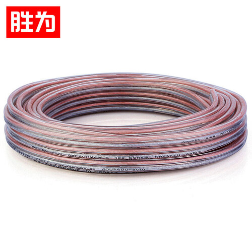 胜为（shengwei）发烧级音箱线 2*100芯音响线喇叭线音频线 10米功放车载线 非屏蔽连接线HIFI线材 AEC-1010