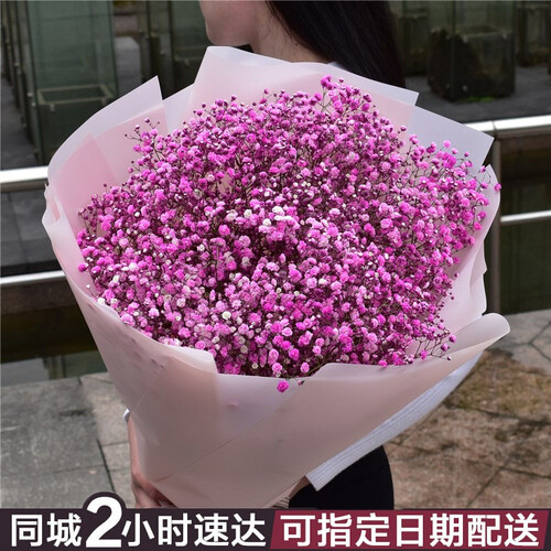 恋森鲜花速递 满天星勿忘我小雏菊鲜花花束全国花店北京上海苏州杭州合肥石家庄同城配送生日礼物送花 进口粉色满天星花束-女神款