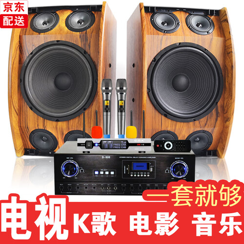 电音伙伴 电视音响客厅家用K歌组合音箱套装大功率无线蓝牙家庭影院ktv唱歌超重低音炮适用小米三星索尼 【木色】音响+功放+无线话筒(赠送彩灯)