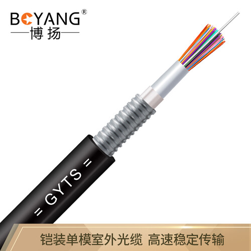 博扬（BOYANG）BY-GYTS-48B1 铠装48芯单模室外光缆 GYTS层绞式架空/管道网线光纤线 100米 可定制长度