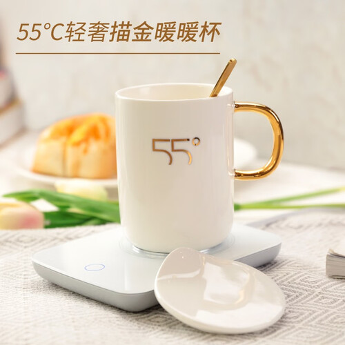 懂你冷暖杯生日礼物女生送女友女朋友制冷杯制热杯恒温暖暖杯女孩男友创意实用国庆节礼品抖音同款黑科技杯子 【描金款】暖暖杯
