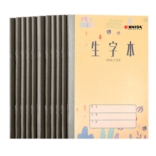 凯萨(KAISA)四线方格本生字本汉字拼音练习本 10本装 36k(175*125mm)20张 KSP-0024