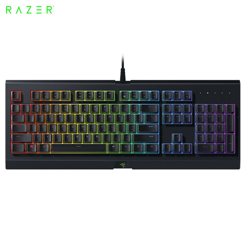 雷蛇(Razer)萨诺狼蛛幻彩版 键盘 有线键盘 薄膜键盘 游戏键盘 104键 RGB 电竞 黑色 CF吃鸡神器