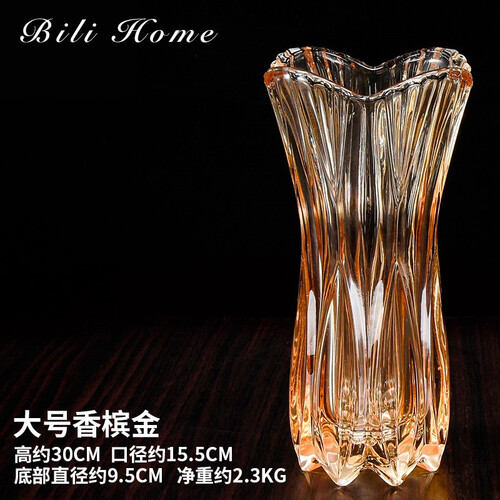 【碧丽】 欧式创意客厅透明玻璃瓶插花摆件富贵竹干花装饰花瓶大小水培花器 30金色剑兰