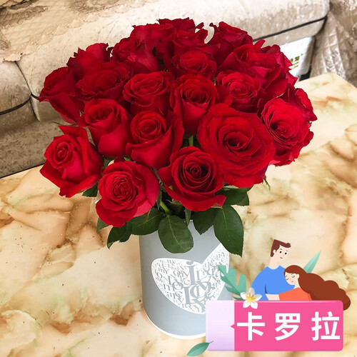 呆萌鲜花旗舰店云南昆明直发每周一花玫瑰花鲜花直批发基地全国花店速递插花花束家庭鲜花生日礼物办公 卡罗拉/王妃16支+送4支（防损）