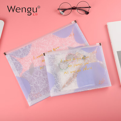 文谷(Wengu) 文件袋学生资料袋办公文件套收纳袋拉链透明防水耐磨2只装A4A5花名拉边袋B蓝
