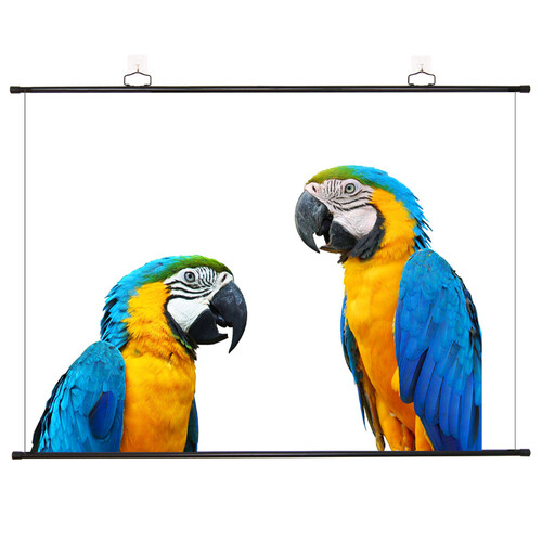 迦观 100英寸4:3 简易挂壁幕布 投影仪幕布 投影机幕布 投影幕布 投影屏幕 商务办公会议幕布 家用白塑幕布