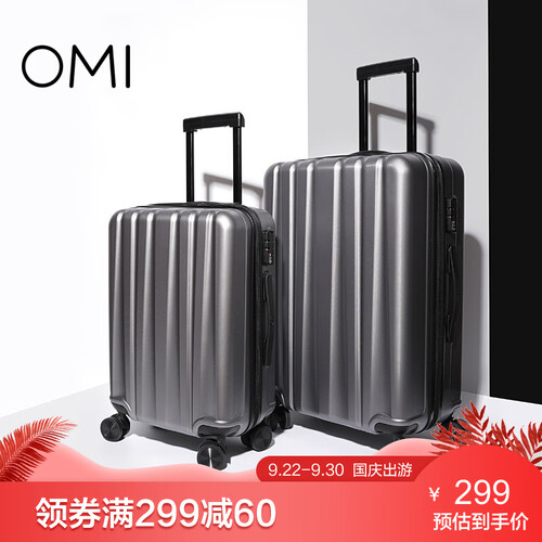 OMI欧米万向轮拉杆箱24英寸男女士旅行箱轻盈行李箱 20寸 银色