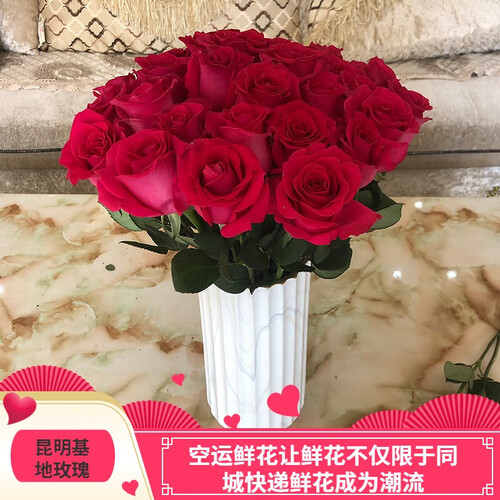 芊芊细语云南昆明基地鲜花包月订阅切花每周一花全国包邮速递同城生日礼物花束直批发玫瑰花家用办公室插花 16支王妃玫瑰+送4支（防损）