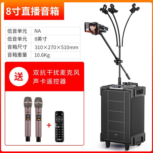 爱浪（Avlight） DX20广场舞音响户外拉杆大功率便携式移动高低音蓝牙会议舞台网红直播声卡音箱 DX20-08（不带麦架）