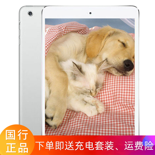 拍拍【二手9成新】苹果平板电脑 Apple iPad迷你 Mini1/Mini2二手平板 银白色 Mini1 16G WiFi版+充电套装